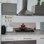Apartament Palatinus *