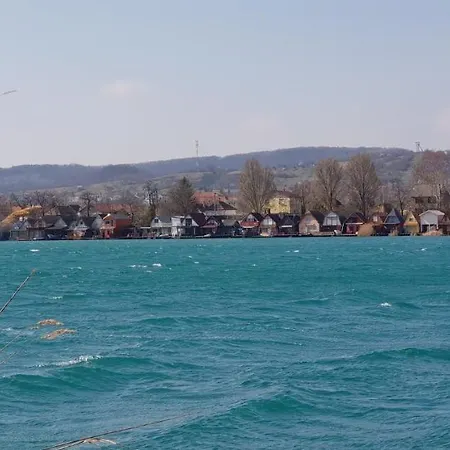 Palatinus إسترغوم