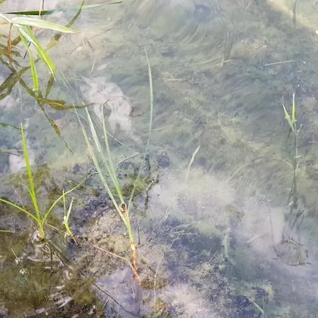 شقة Palatinus إسترغوم