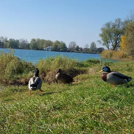 شقة Palatinus إسترغوم