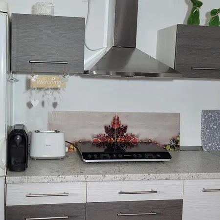 Appartement Palatinus *